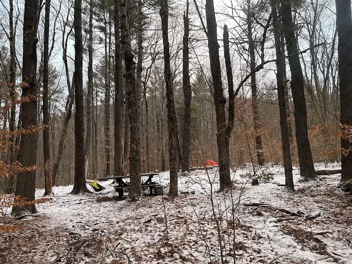 Allaben Campground Picture 3