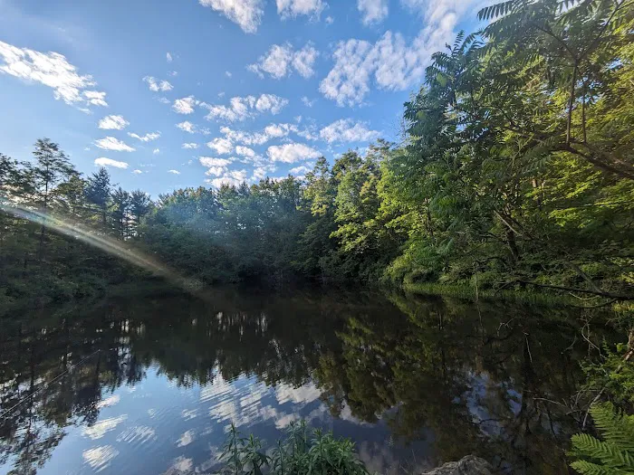 Allaben Campground Picture 4