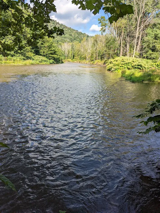 Allaben Campground Picture 7