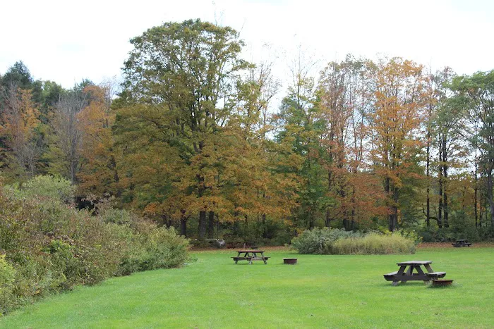 Stratton Falls Campground Picture 1