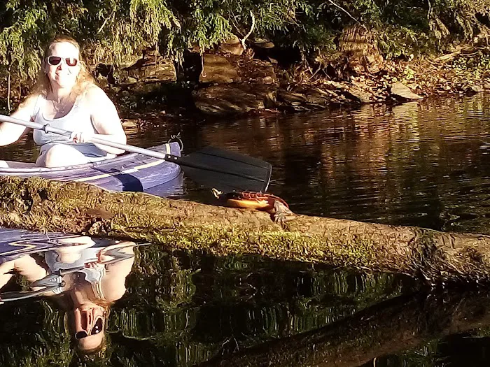 Stratton Falls Campground Picture 4