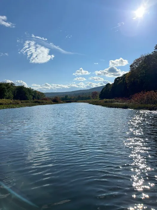 Stratton Falls Campground Picture 9
