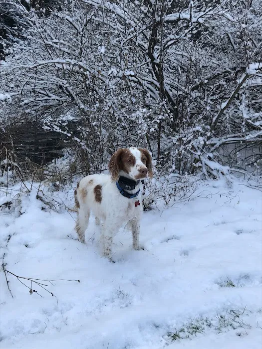 Stratton Falls Campground Picture 10