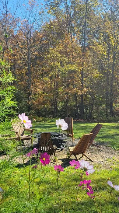 Hills of Valhalla Picture 6