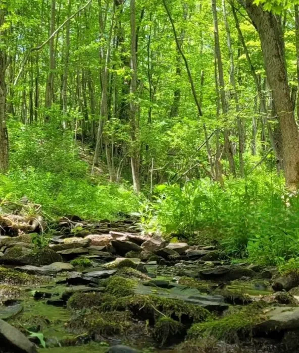 Hills of Valhalla Picture 4