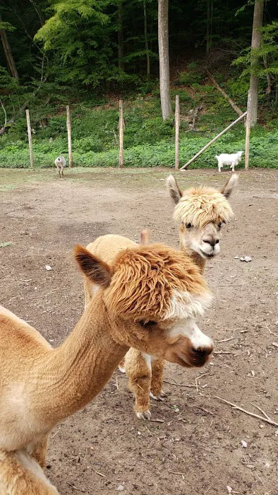 Roscoe Campsites Picture 8