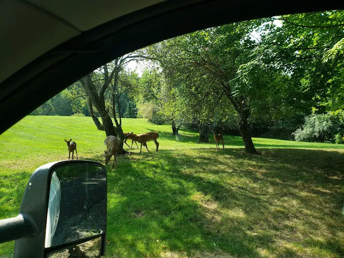 12penny Saloon Gay Campground Picture 2