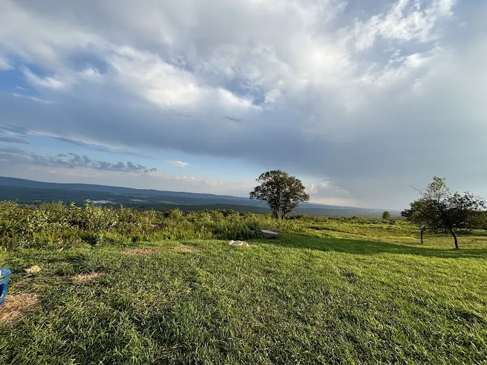 100 Mile View Camping Picture 1