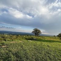 100 Mile View Camping ico