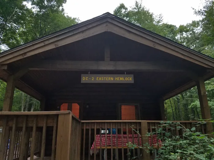 Eastern Hemlock Picture 1