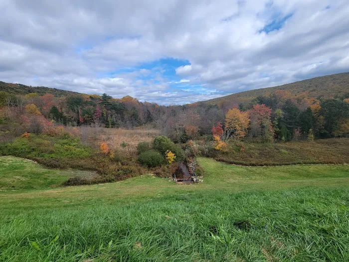 Jim Thorpe Camp Resort Picture 6