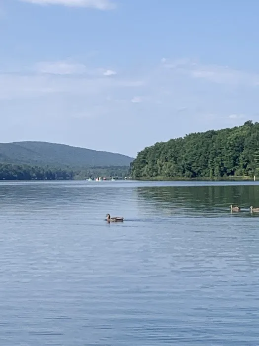 Jim Thorpe Camp Resort Picture 5