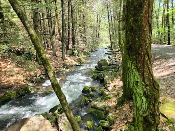 Jim Thorpe Camp Resort Picture 2