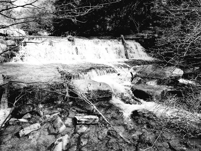 Organized Group Tent Campground Picture 6