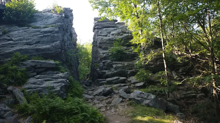 Hickory Run State Park Campground Picture 1