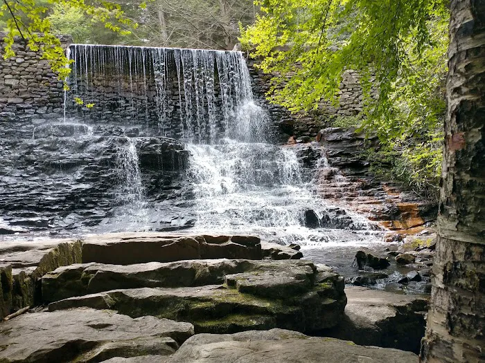 Hickory Run State Park Campground Picture 3