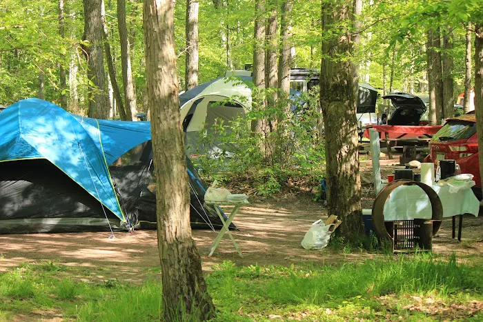Hickory Run State Park Campground Picture 7
