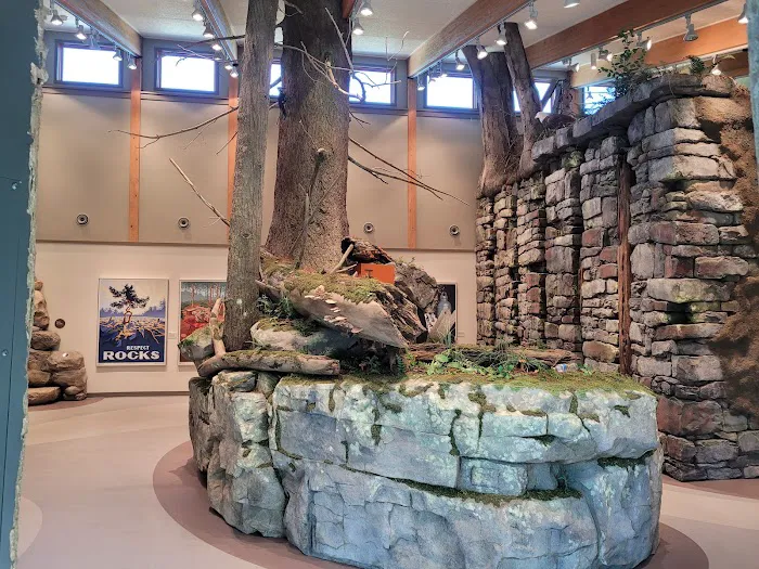 Hickory Run State Park Campground Picture 6