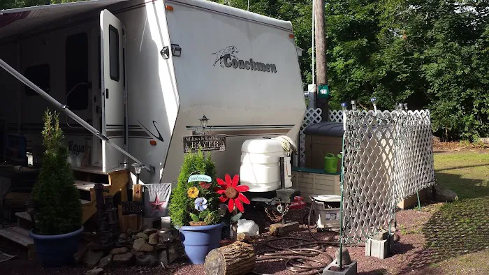 Lehigh Gorge Campground Picture 5