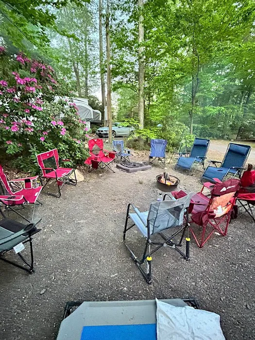 Lehigh Gorge Campground Picture 8