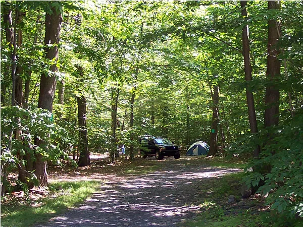 Lehigh Gorge Campground Picture 6