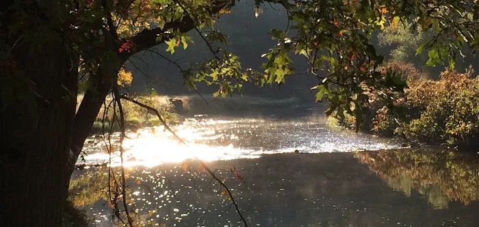 Lizard Creek Campground, it’s Familytime Picture 8