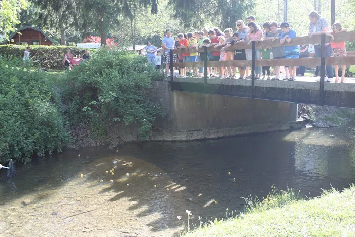 Allentown KOA Journey Picture 6