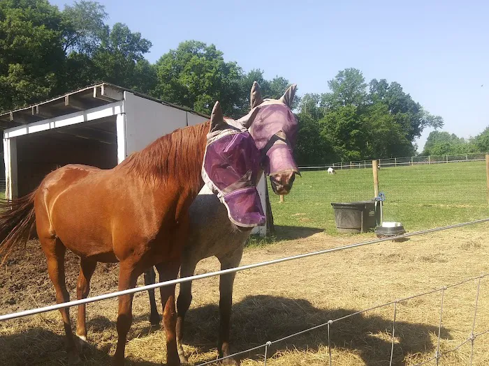 Hip Camp At Bellview Farm Picture 4