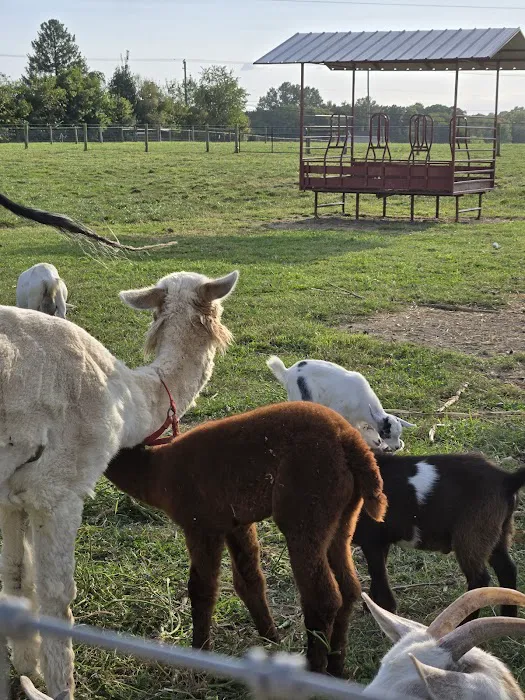 Hip Camp At Bellview Farm Picture 1