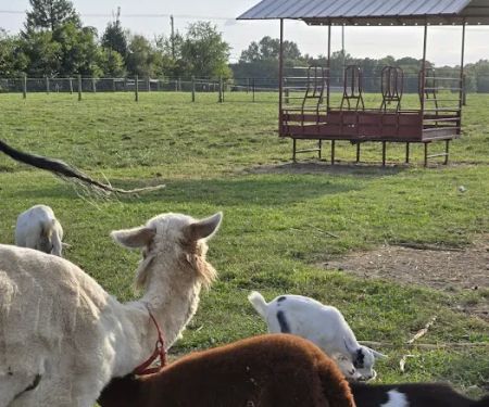 Hip Camp At Bellview Farm