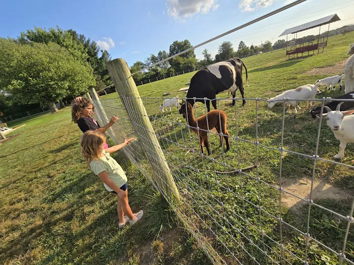 Hip Camp At Bellview Farm Picture 9