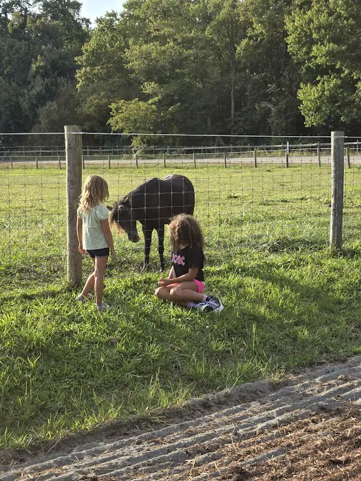 Hip Camp At Bellview Farm Picture 2