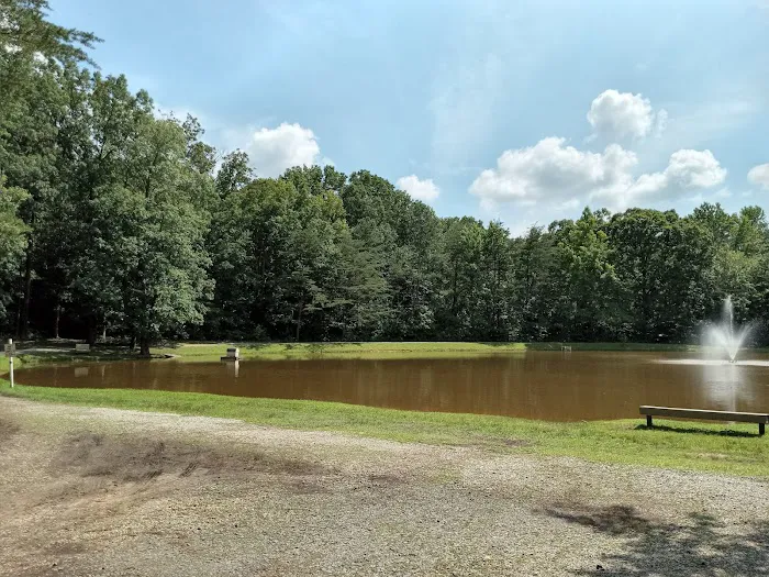 Woodlands Camping Resort Picture 2