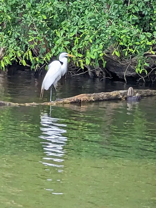 Lums Pond State Park Campground Picture 7