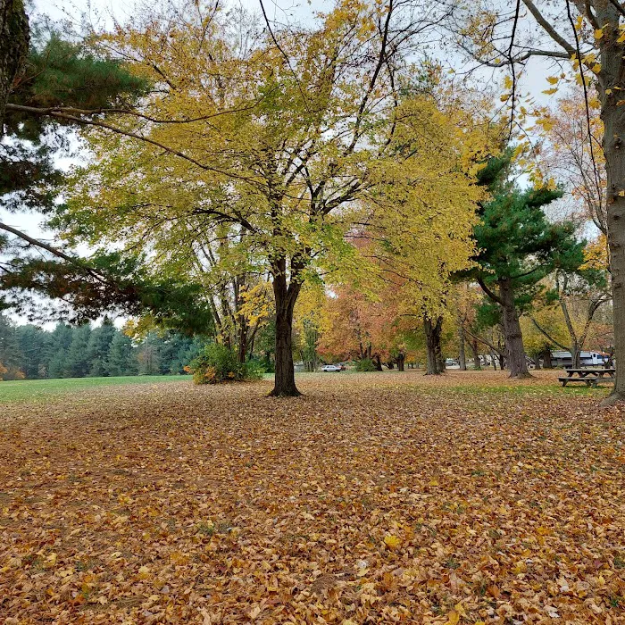Lums Pond State Park Campground Picture 8