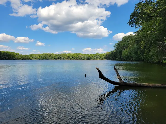 Lums Pond State Park Campground Picture 2