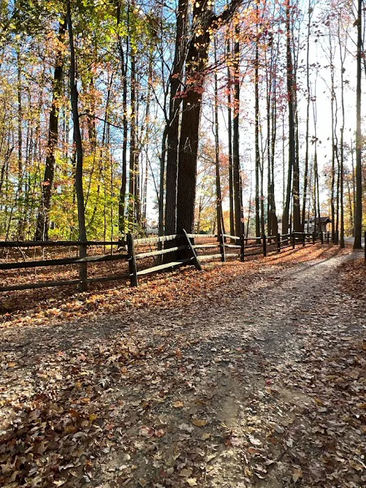 Lums Pond State Park Campground Picture 6