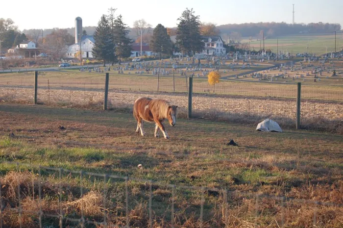Oma's Family Campground Picture 7