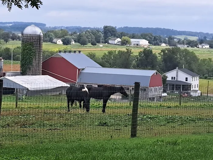 Oma's Family Campground Picture 2