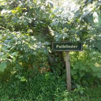 Pathfinder Campsite ico