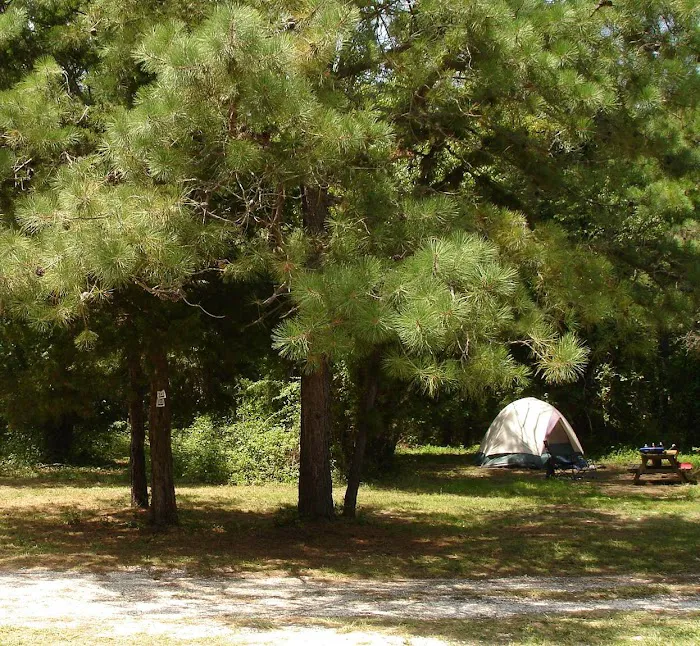 Adventure Bound Camping Resorts - Cape May Picture 8