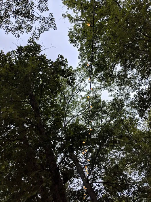 Shellbay Campground Picture 5