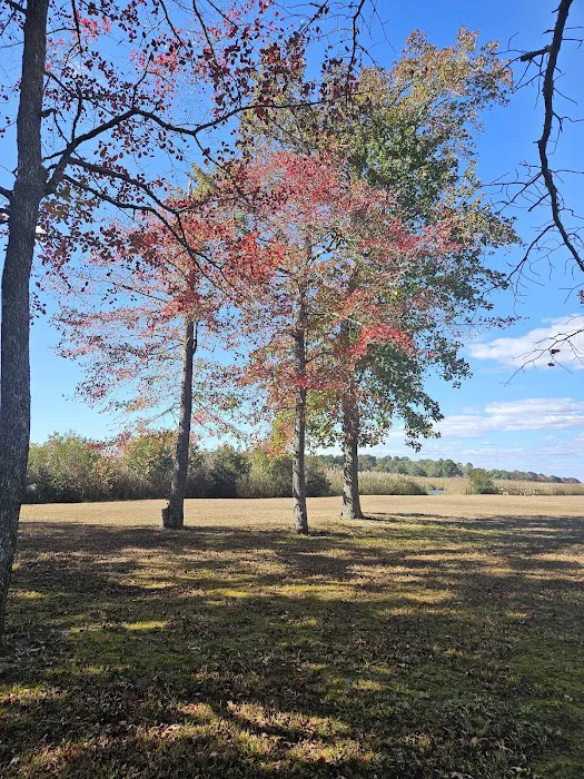 Old Stagecoach Campground Picture 1