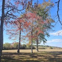 Old Stagecoach Campground ico