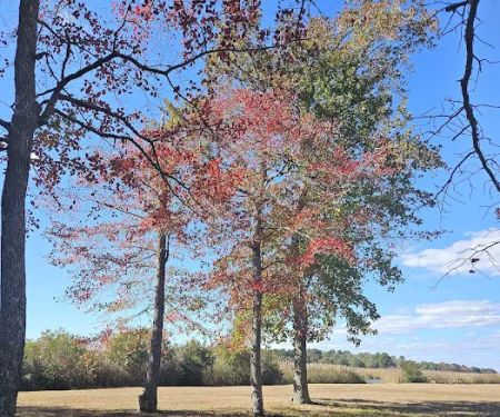 Old Stagecoach Campground