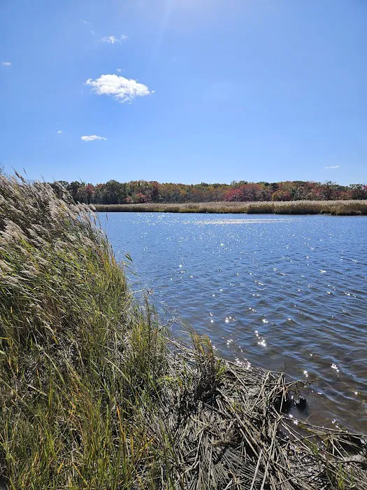 Old Stagecoach Campground Picture 7