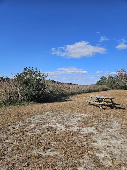 Old Stagecoach Campground Picture 4