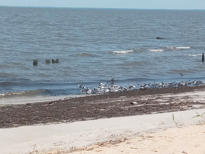 King Nummy Trail Campground Picture 8