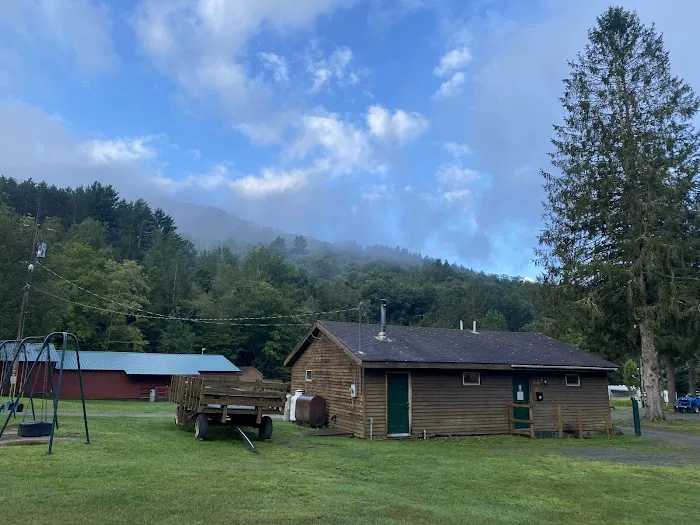 Russell Brook Campsites Picture 1