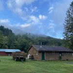 Russell Brook Campsites